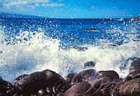 4-Elemente-Mauis Kraftplatzessenzen von Hawaii